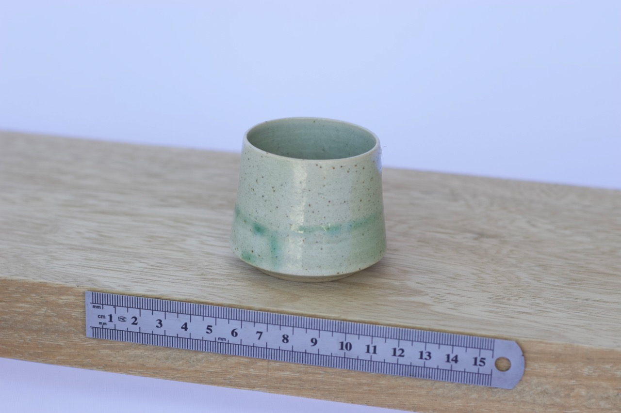 Pale Sage Tumbler