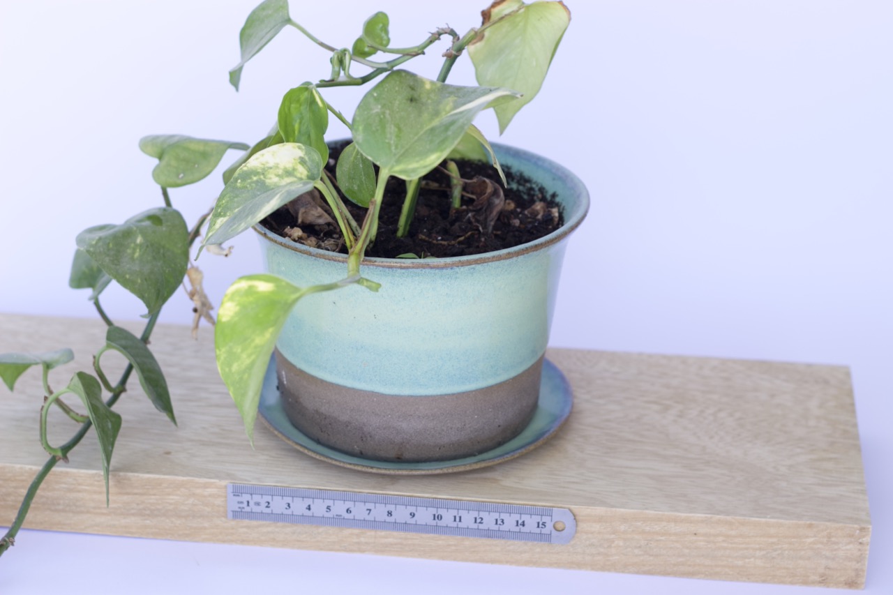 Plant Pot with Saucer